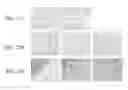 Fig. 22 - Materials and Methods for the Delivery of a Nanocarrier to the Brain