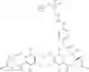 Fig. 45 - ANTI-CD22 ANTIBODIES AND IMMUNOCONJUGATES