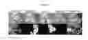 Fig. 06 - Charge-balanced imaging agents