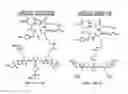 Fig. 01 - Use of charge-balanced imaging agents for determining renal function