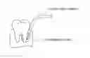 Fig. 01 - Sterilizing apparatus
