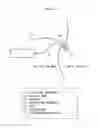 Fig. 04 - Sterilizing apparatus