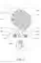 Fig. 04 - Packaged personal deodorizing products