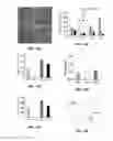 Fig. 16 - Promotion of Wound Healing