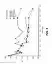 Fig. 04 - Stents having bioabsorable layers