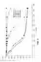 Fig. 05 - Stents having bioabsorable layers