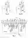Fig. 03 - Medicament preparation and treatment devices, methods, and systems