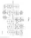 Fig. 02 - SKIN MEDICINE DOSE CONTROL