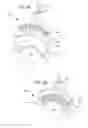 Fig. 05 - Methods for inhibiting heterotopic ossification
