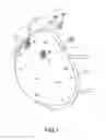 Fig. 02 - DISCHARGER STRUCTURE ON EARLOOP FACE MASKS