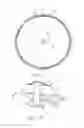Fig. 03 - MULTI-SENSORY AND INTERDISCIPLINARY BALANCE PLATFORM TRAINING APPARATUS