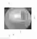 Fig. 02 - BALL WITH POCKET