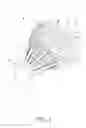Fig. 02 - Shuttlecock and artificial feather thereof