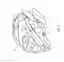 Fig. 07 - READILY REMOVABLE CATCHER'S HELMET