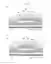 Fig. 12 - Ultrasonic transducer, method for making same, ultrasonic transducer array, and ultrasonic test apparatus