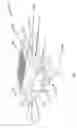 Fig. 02 - Masonry tool cleaning and storage device