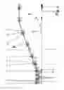 Fig. 05 - Linear-motor-driven simultaneous stretching installation