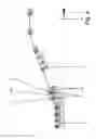 Fig. 08 - Linear-motor-driven simultaneous stretching installation
