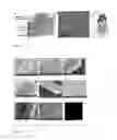 Fig. 02 - METHODS FOR PREPARING AND ORIENTATING BIOPOLYMER NANOFIBRES AND A COMPOSITE MATERIAL COMPRISING THE SAME