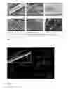 Fig. 04 - METHODS FOR PREPARING AND ORIENTATING BIOPOLYMER NANOFIBRES AND A COMPOSITE MATERIAL COMPRISING THE SAME