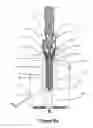 Fig. 12 - SINGLE SCREW MICRO-EXTRUDER FOR 3D PRINTING