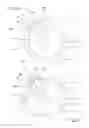 Fig. 06 - Process and apparatus for manufacturing tyres