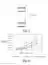 Fig. 05 - Thermal conducting sheet and method for producing same