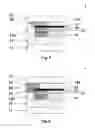 Fig. 04 - Wired glazing and a process for manufacture thereof