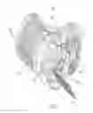 Fig. 09 - Integrated electric motor assembly