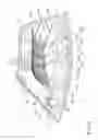 Fig. 05 - Lighting device for a motor vehicle