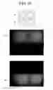 Fig. 09 - Interior Camera Apparatus, Driver Assistance Apparatus Having The Same And Vehicle Having The Same