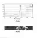 Fig. 06 - HEATING ELEMENT INCLUDING CARBON NANOTUBE (CNT) LAYER