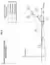 Fig. 08 - Analytic design of pedal override for adjustable speed limiting