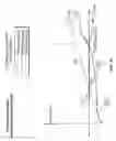 Fig. 09 - Analytic design of pedal override for adjustable speed limiting