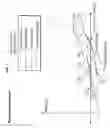 Fig. 10 - Analytic design of pedal override for adjustable speed limiting