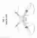 Fig. 02 - Foldable aircraft with protective cage for transportation and transportability