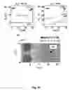 Fig. 35 - Purification of carbon nanotubes via selective heating