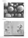 Fig. 02 - Porous titanate compound particles and method for producing same