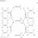 Fig. 08 - Method for producing olefin containing chlorine and fluorine