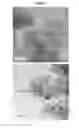 Fig. 07 - Process for hydrogenation of benzenepolycarboxylic acids and derivatives thereof