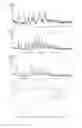 Fig. 04 - Salt of dicarboxylic acid compound