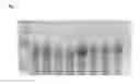 Fig. 02 - Modified Vip3 polypeptides