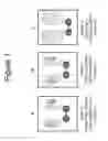 Fig. 02 - Growth differentiation factor 15 (GDF-15) polypeptides