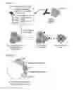 Fig. 02 - Car expression vector and car-expressing T cells