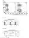 Fig. 03 - Car expression vector and car-expressing T cells