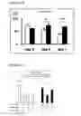 Fig. 06 - Car expression vector and car-expressing T cells