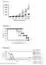 Fig. 11 - Car expression vector and car-expressing T cells