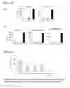 Fig. 14 - Car expression vector and car-expressing T cells