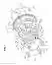 Fig. 02 - Valve timing control device for internal combustion engine