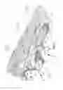Fig. 02 - Water jacket structure of cylinder head